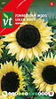 ARBORIX - Tournesol Moonwalker - Ca. 1 gr (Livraison Gratuite) - vignette