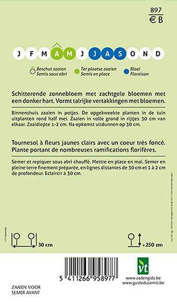 ARBORIX - Tournesol Moonwalker - Ca. 1 gr (Livraison Gratuite) - large
