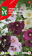 ARBORIX - Rose Trémière Aubade - Ca. 0,2 gr (Livraison Gratuite) - vignette