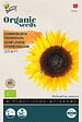 ARBORIX - Buzzy Organic Tournesol Zohar F1- Bio Semences - Ca. 1 gr (Livraison Gratuite) - vignette