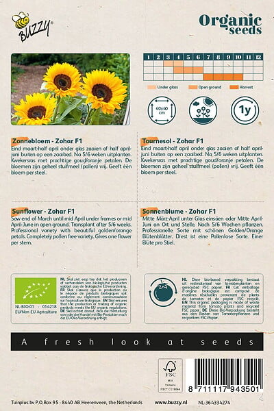 ARBORIX - Buzzy Organic Tournesol Zohar F1- Bio Semences - Ca. 1 gr (Livraison Gratuite) - large