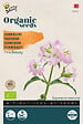 ARBORIX - Buzzy Organic Saponaire des vaches Pink Beauty - Bio Semences - Ca. 0,5 gr (Livraison Gratuite) - vignette