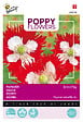 ARBORIX - Buzzy Poppy Flowers Pavot Drapeau Danois Semences - Ca. 0,75 gr (Livraison Gratuite) - vignette