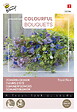 ARBORIX - Buzzy Colourful Bouquets Royal Blue Semences - Ca. 3 gr (Livraison Gratuite) - vignette