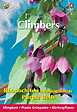ARBORIX - Buzzy Climbing Flowers Rhodochtion violets Semences - Ca. 10 graines (Livraison Gratuite) - vignette