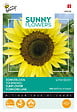 ARBORIX - Buzzy Sunny Flowers Tournesol Lemon Queen Semences - Ca. 1 gr (Livraison Gratuite) - vignette