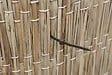 NATURE - Colliers de fixation nylon verts 15cm - Lot de 25 - vignette