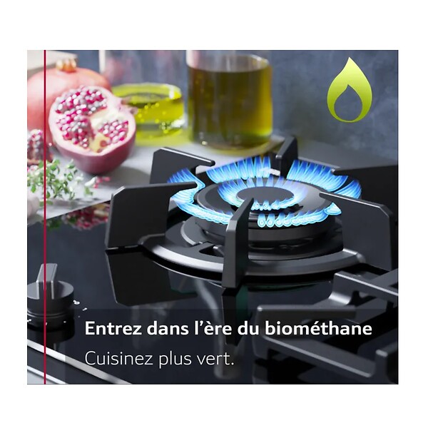 NEFF - table de cuisson gaz 60cm 3 feux 7300w - T26NKC4S0 - large