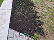 JARDIBEST - Gazon réparation enrobé - 3kg - vignette