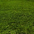 WERKAPRO - Gazon artificiel 4cm  100% recyclable en rouleau 180cm de large 1,8 x 3 m (env. 5,4m²) - vignette