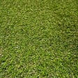 WERKAPRO - Gazon artificiel 2cm  100% recyclable en rouleau de 180cm de large 1,8 x 5 m (env. 9m²) - vignette