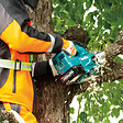 MAKITA - Tronçonneuse d'élagage XGT - 40V 25cm - MAKITA UC002GZ02  (vendu sans batterie) - vignette