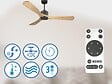 PURLINE - Ventilateur de plafond Réversible  Thermostat Wifi Moteur à courant continu Toits en pente Télécommande Hypersilence Mémoire - vignette