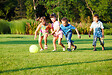 JARDIBEST - Gazon résistant - 3kg - vignette