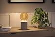 PAULMANN - Ampoule LED décorative G125 - Verre doré - 4,2W 300lm - vignette