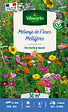 VILMORIN - Mélange de fleurs mellifères - Multicolore - 50m² - vignette