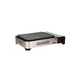 ALPENTECH - Plancha à gaz Barbecue grill 2100W Cuisson 30 x 24cm Piezo + 4 cartouches gaz + Mallette ALPEN - vignette