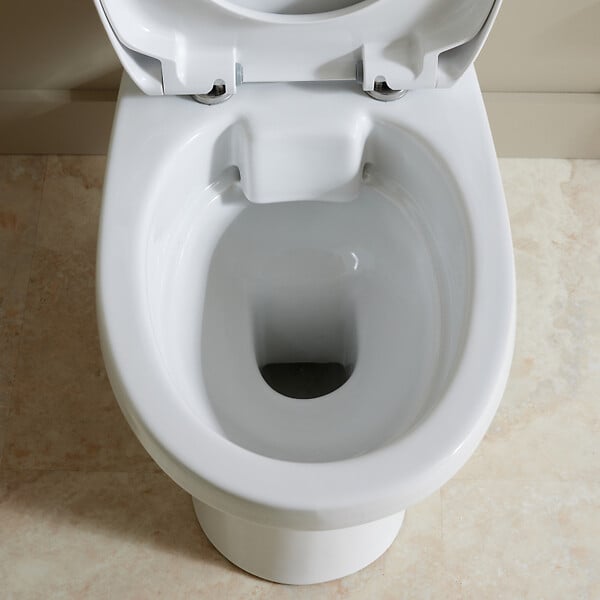 GODART - WC à poser avec lave-mains intégré sans bride sortie horizontale Opale - large