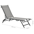 VIDAXL - vidaXL Chaises longues lot de 2 Textilène et acier - vignette