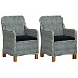 VIDAXL - vidaXL Chaises de jardin avec coussins lot de 2 Résine tressée - vignette