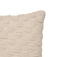 ATMOSPHERA - Couss chen 3d nova bge 40x40 - vignette