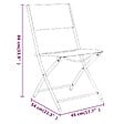 VIDAXL - vidaXL Chaises d'extérieur pliables lot de 4 Noir Acier et textilène - vignette