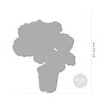 BLOOMIQUE - Lot de 2 - Calathea Orbifolia - Plante paon - Plante d’intérieur - H. 40-50 cm - P. 14 cm - vignette
