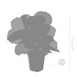BLOOMIQUE - Lot de 2 Calathea - Medallion et Orbifolia - Plantes paon - Dépolluantes - H. 40-50 cm - P. 14 cm - vignette