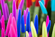 BLOOMIQUE - Lot de 2 - Sansevieria Velvet Touch - Langue de belle-mère - H. 20-30 cm - P. 9 cm - vignette