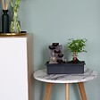 PLANT IN A BOX - Bonsaï - Bonsai - Hauteur 25-35cm - ⌀29cm - vignette