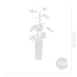 BLOOMIQUE - Ficus Carica 'Brown Turkey' - Figuier - Arbres fruitiers - Plantes de jardin - P. 14 cm - H. 60-70cm - vignette