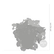 BLOOMIQUE - Lot de 6 - Begonia Beleaf Mix - Bégonia à feuilles - Lot de 6 - Plante d’intérieur - vignette