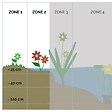 BLOOMIQUE - Lot de 3 - Butomus Umbellatus - Butome en ombelle - Plantes de bassin - H. 15-25 cm - P. 9 cm - vignette