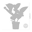 BLOOMIQUE - Medinilla magnifica 'Flamenco' - Medinilla - Plante d’intérieur - Facile d’entretien - 50-60 cm - vignette