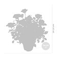 BLOOMIQUE - Lot de 3 - Rosier Nain Rose - Plantes d’intérieur & extérieur - H. 20-30 cm - P. 12 cm - vignette