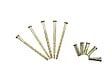 HERACLES - Vis reliure M4 recoupable 30-65mm avec douille M4x22 laiton poli sachet de 5 - HERACLES - ACC-VR-3065LP - vignette