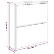 VIDAXL - vidaXL Armoire à  chaussures avec miroir à  2 niveaux Noir 63x17x67 cm - vignette