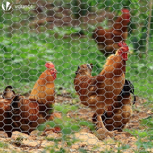 VOUNOT - Grillage a poule avec fils 13mm en acier galvanise 1x25M - large