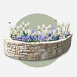 PLANT IN A BOX - Mélange de bulbes pour le jardin - Set de 250 - Bulbes à fleurs - vignette