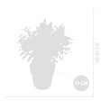BLOOMIQUE - Buddleja Butterfly Little Pink - Arbre aux papillons - Plantes de jardin - H. 30-40 cm - P. 19 cm - vignette