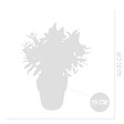 BLOOMIQUE - Lot de 2 - Buddleja Butterfly Little Pink - Arbre aux papillons - H. 30-40 cm - P. 19 cm - vignette
