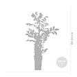 BLOOMIQUE - Campsis radicans 'Galen' - Bignone orange - Grimpante - Plante de jardin - H. 50-70 cm - P. 15 cm - vignette