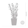 BLOOMIQUE - Lot de 6 - Gaura Lindheimeri - Gaura - Plantes de jardin - Rustique - H. 10-20 cm - P. 9x9 cm - vignette