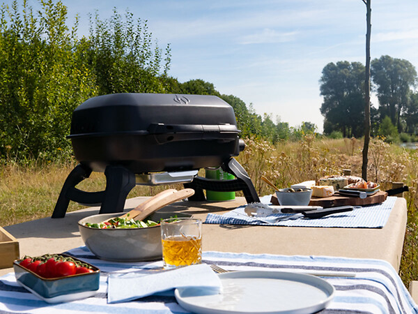 NAPOLEON - Barbecue à gaz portable Travel Q 240 - Napoleon - large