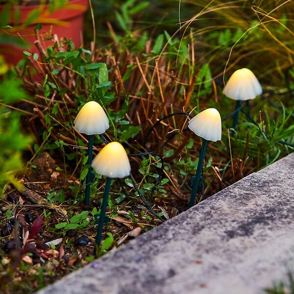 LUMISKY - 10 Champignons solaires connectés CHAMPY 3.8M - large