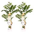 BLOOMIQUE - Lot de 2 - Campsis radicans 'Galen' - Bignone orange - Plantes grimpantes - H. 50-70 cm - P. 15 cm - vignette