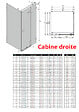 OTITEC - Cabine de douche doré brossé 80x120 cm,pivotante droite  BALI GOLD BRUSHED, acces de face - vignette
