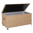 HESPERIDE - Coffre de rangement "Bayana" savana 600L en acier traité époxy - vignette