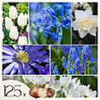PLANT IN A BOX - Mélange de bulbes pour le jardin - Set de 125 - Bulbes à fleurs - vignette