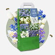 PLANT IN A BOX - Mélange de bulbes pour le jardin - Set de 125 - Bulbes à fleurs - vignette